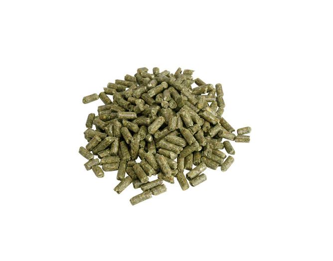 GCPC CRICKET FOOD