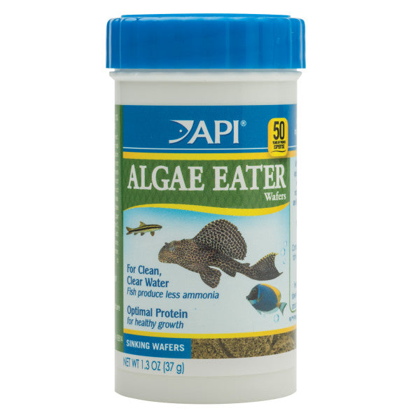 API ALGAE EATER WAFER 37G