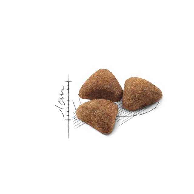 ROYAL CANIN CAT INDOOR 4KG