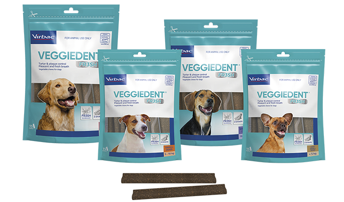 VEGGIEDENT FR3SH 15PK LARGE