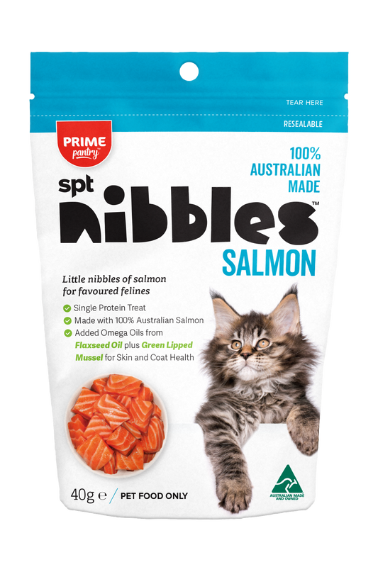 PRIME100 PRIME PANTRY SPT NIBBLES SALMON 40G