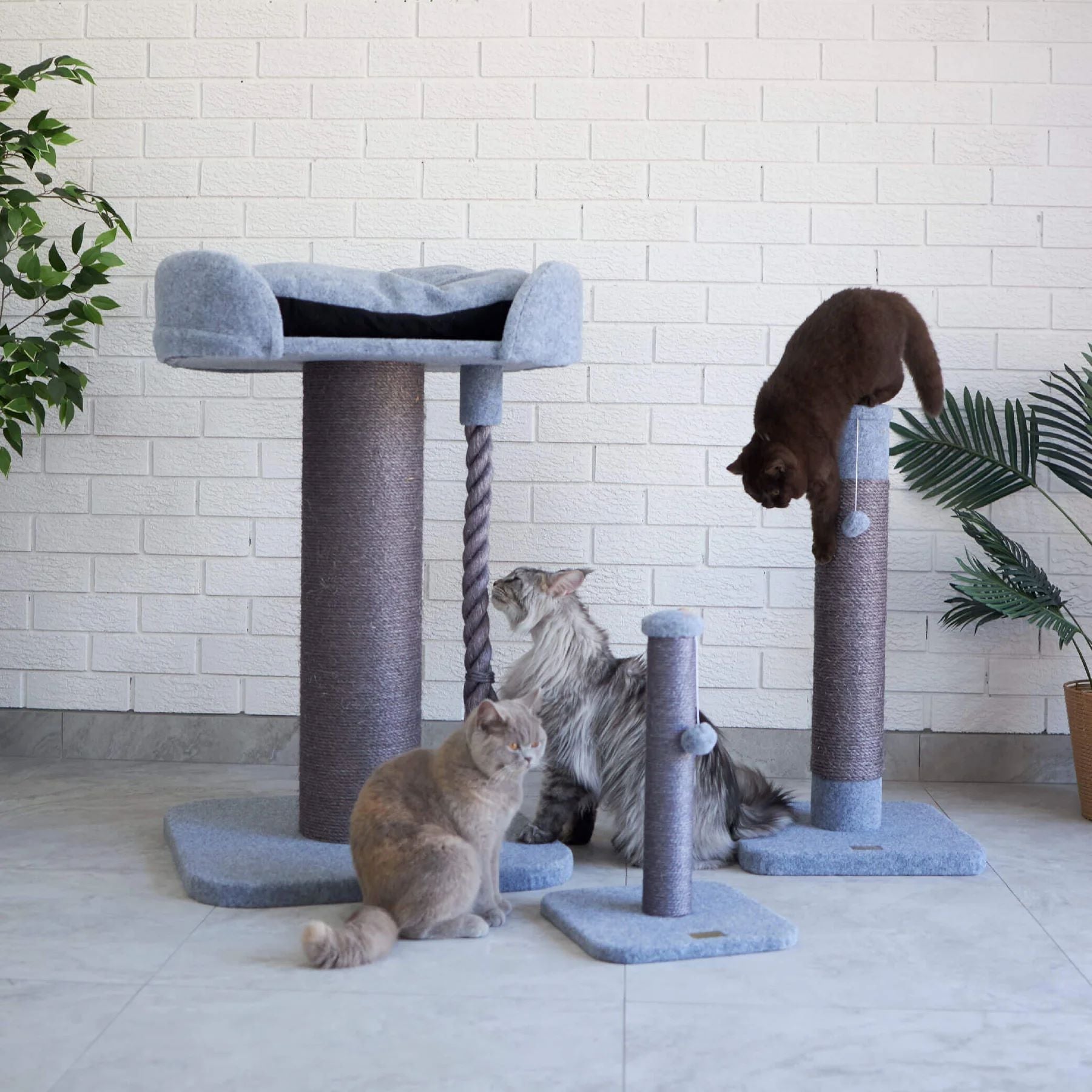 KAZOO CAT SCRATCHER CARPET KITTY SCRATCH & SLEEP ASH