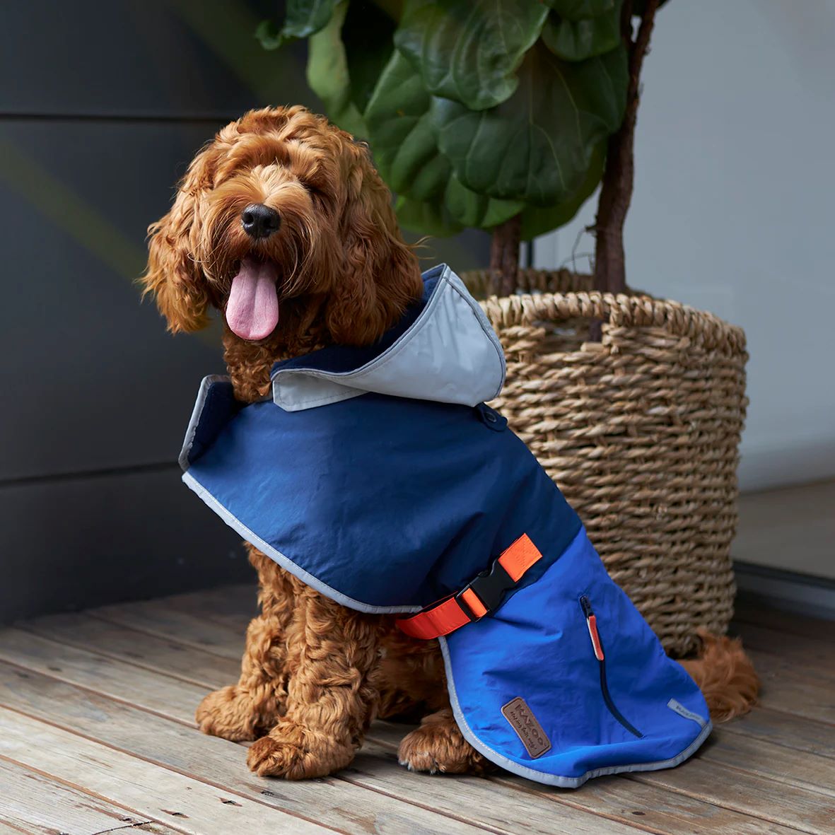 KAZOO COAT COSY RAINCOAT BLUE ZEST 59