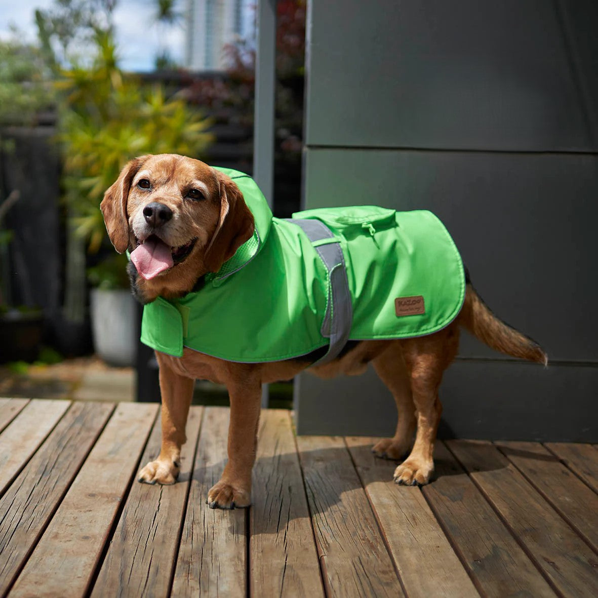 KAZOO COAT RAINY DAYS NEON GREEN 46