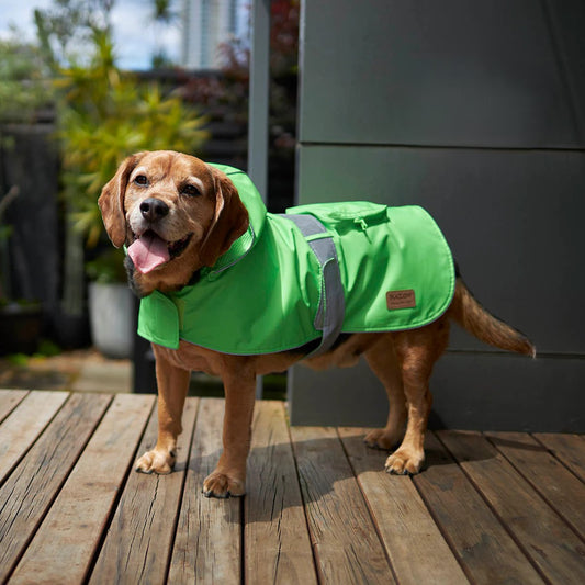 KAZOO COAT RAINY DAYS NEON GREEN 59