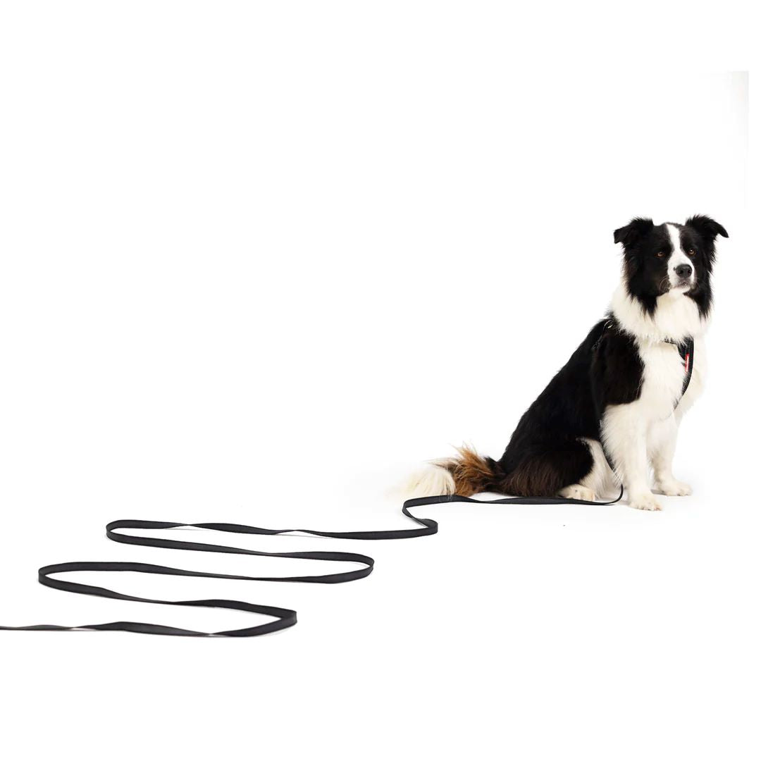 EZYDOG LEASH TRACK N TRAIN BLACK