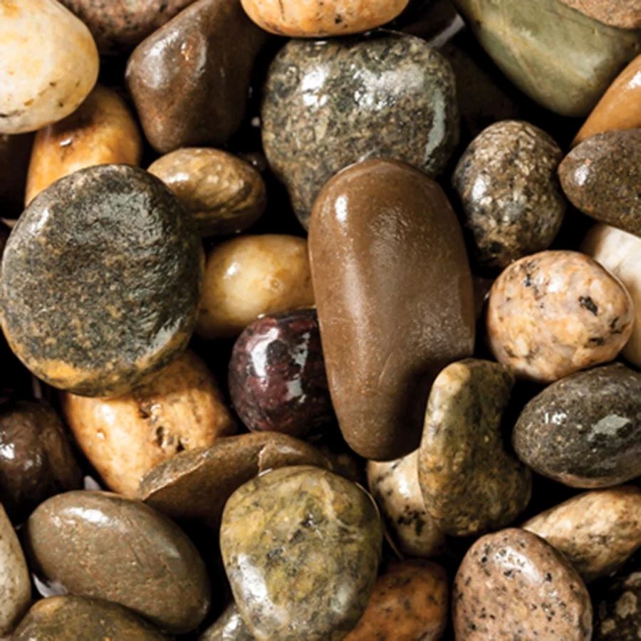 PISCES GRAVEL TURTLE & AXOLOTL 5KG