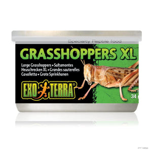 EXO TERRA GRASSHOPPER XL 34G