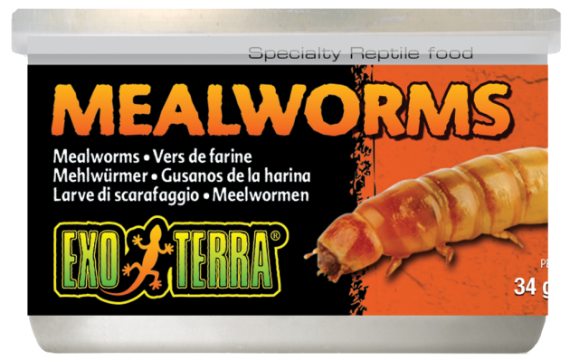 EXO TERRA MEALWORMS 34G