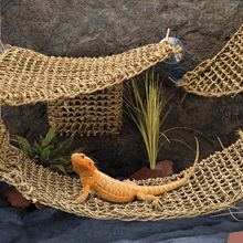 Load image into Gallery viewer, LIZARD LOUNGER XLARGE