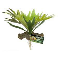 ZOO MED PLANT STAGHORN FERN