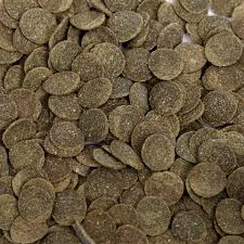 GCPC ALGAE WAFERS 500G