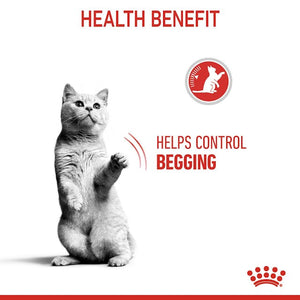 ROYAL CANIN CAT APPETITE CONTROL 3.5KG