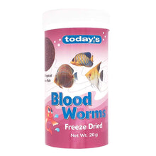 Load image into Gallery viewer, TODAYS BLOODWORM 20G