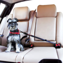 Load image into Gallery viewer, EZYDOG SEATBELT CLICK BLACK