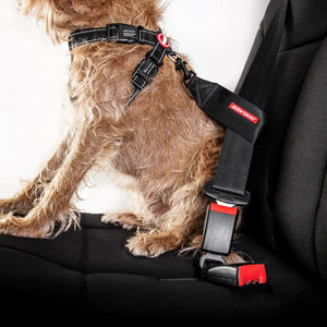 EZYDOG CAR SEAT ATTACHMENT