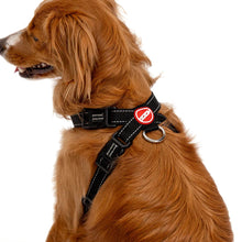 Load image into Gallery viewer, EZYDOG HARNESS CP M BLACK