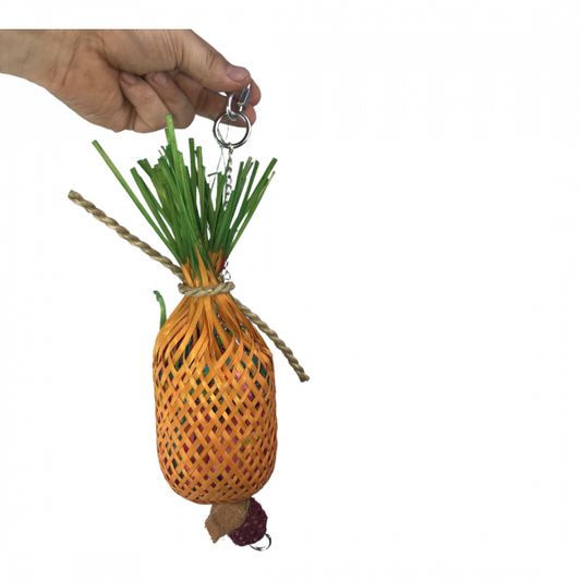 NINO'S JAVA PINEAPPLE FORAGE SMALL