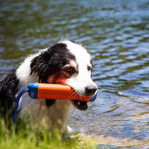 CHUCKIT AMPHIBIOUS BUMPER MD