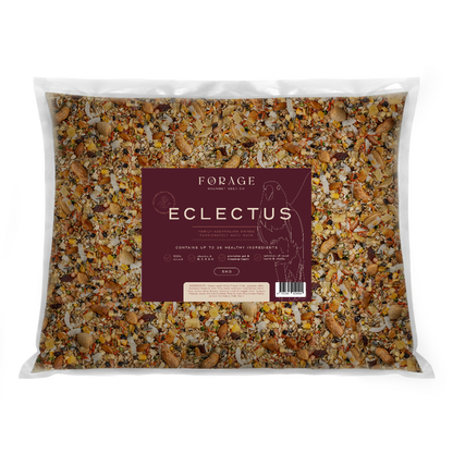 FORAGE ECLECTUS 5KG