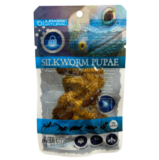JURASSIC NATURAL SILKWORM PUPAE 15G
