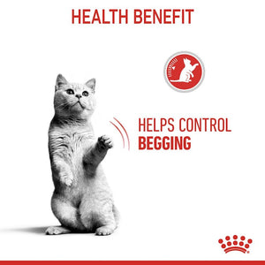 Pack Of ROYAL CANIN CAT APPETITE CONTROL GRAVY 85G