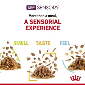 Pack of ROYAL CANIN CAT SENSORY TASTE JELLY 85G X 12