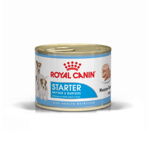 ROYAL CANIN DOG WET MOTHER BABYDOG STARTER MOUSSE 195G