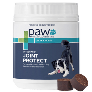 PAW OSTEOCARE JOINT PROTECT CHEWS 300G