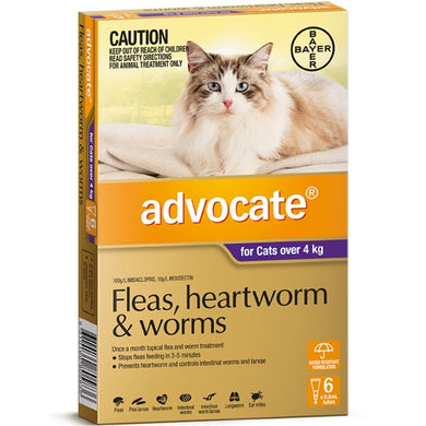 ADVOCATE CAT >4KG PURPLE 6PK