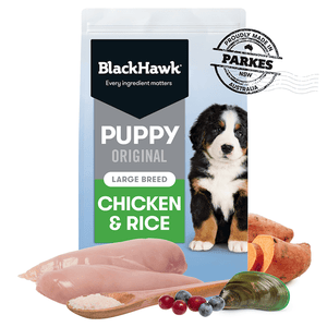 BLACK HAWK PUPPY LB CHICKN RICE 20KG