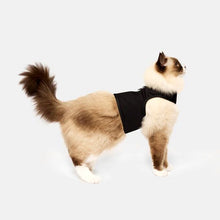 Load image into Gallery viewer, CATVENTURE CAT HARNESS BLACK LARGE