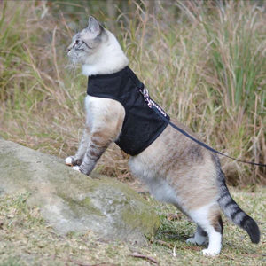 CATVENTURE CAT HARNESS BLACK X-LARGE