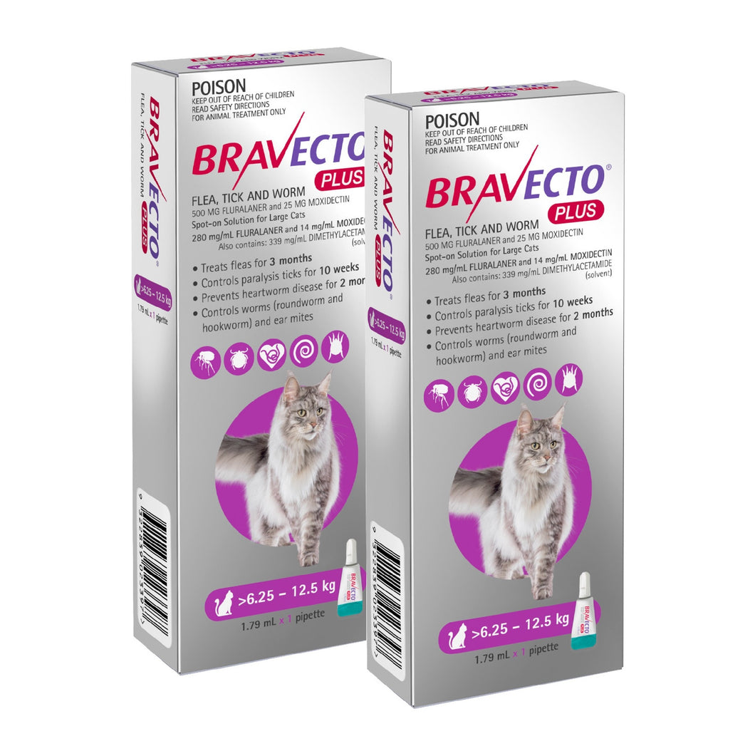 BRAVECTO+ CATS PURPLE 2PK