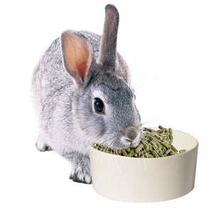 BOWL MELAMINE SMALL ANIMAL MED 17CM