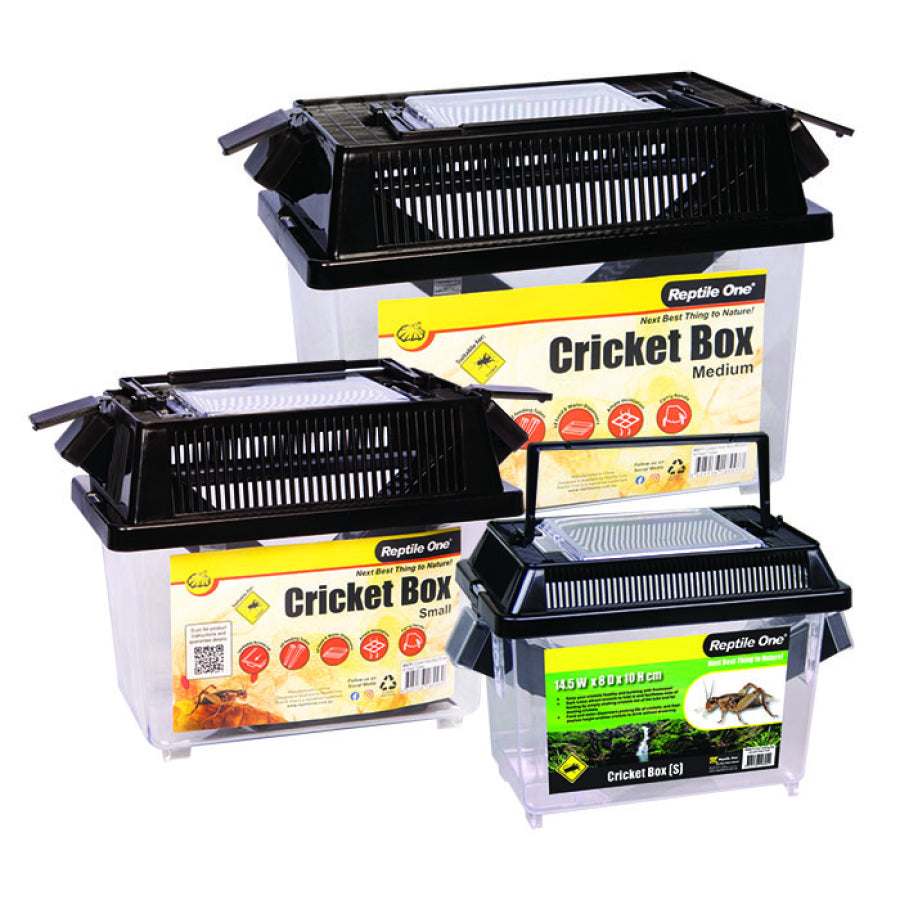 REPTILE ONE CRICKET HOLD BOX MEDIUM W FEED TUBES