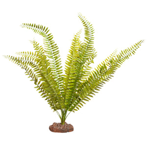 REPTILE PLANT LG FERN GREEN WITH CERAMIC BASE