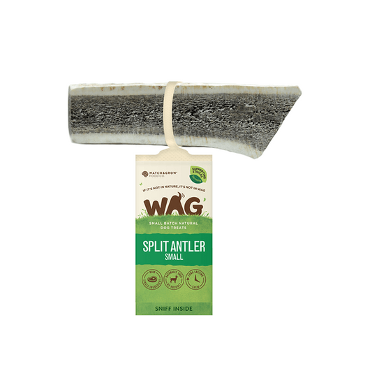 WAG DEER ANTLER SPLIT SMALL