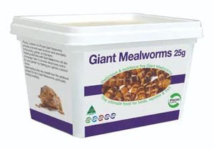 PISCES LIVE MEALWORMS GIANT 25G