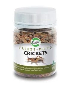 PICSES CRICKETS FREEZEDRIED JAR 35G