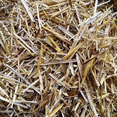 BARLEY STRAW WAFER