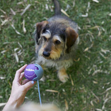 Load image into Gallery viewer, KAZOO ECO-FRIENDLY BALL THROWER SMALL