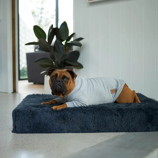 KAZOO COAT POOCH PAJAMAS GREY 53