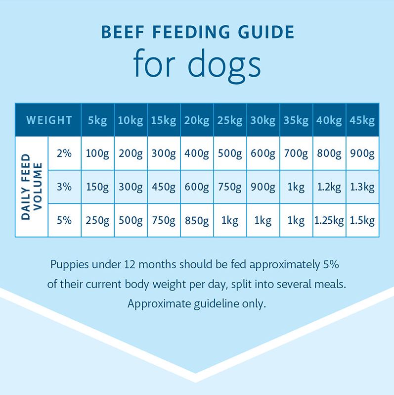 RAW 4 PAWS BEEF 1KG TUB