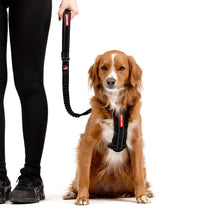 Load image into Gallery viewer, EZYDOG LEASH ZERO SHOCK 25 BLACK