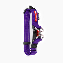 Load image into Gallery viewer, EZYDOG COLLAR DOUBLE UP M PURPLE