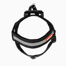 Load image into Gallery viewer, EZYDOG HARNESS EXPRESS BLK SM