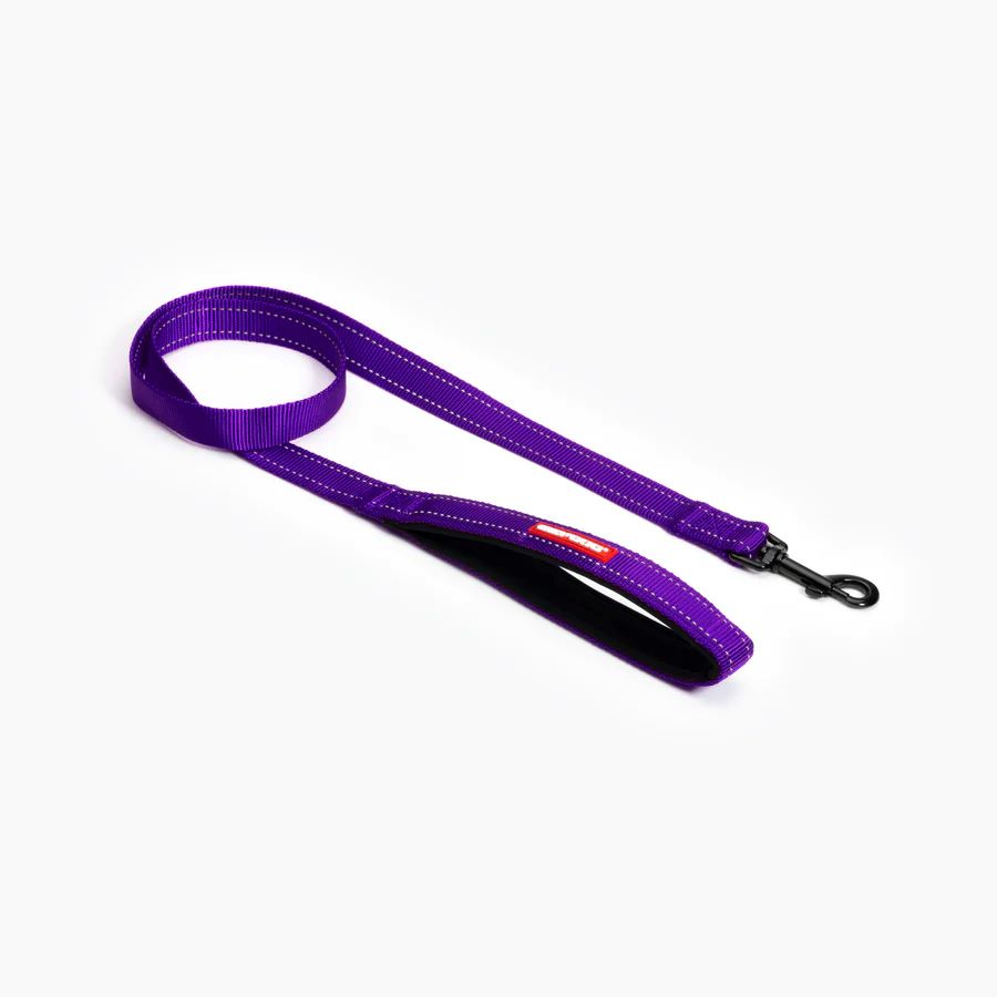 EZYDOG LEASH ESSENTIAL 48 PURPLE