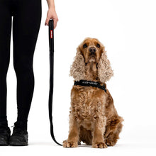 Load image into Gallery viewer, EZYDOG LEASH ESSENTIAL 48 PURPLE