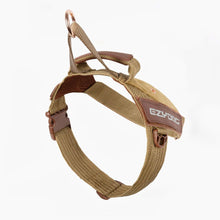 Load image into Gallery viewer, EZYDOG HARNESS EXPRESS CORDUROY LG